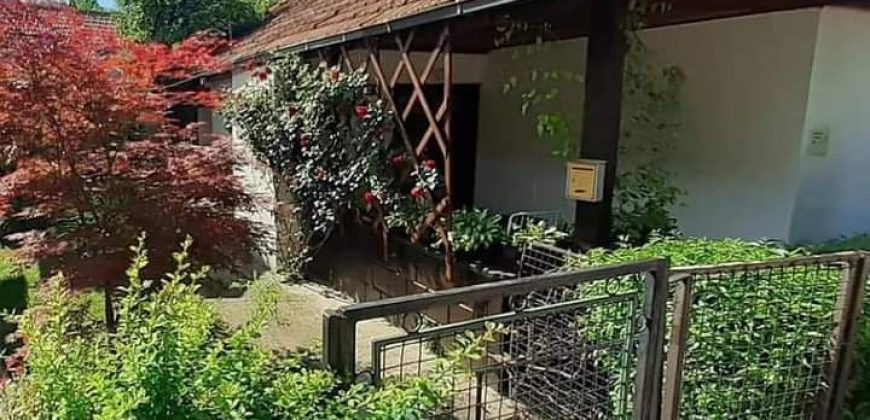 Kuća za odmor Ana Sokobanja