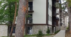 Apartman TARA LUX Zlatibor