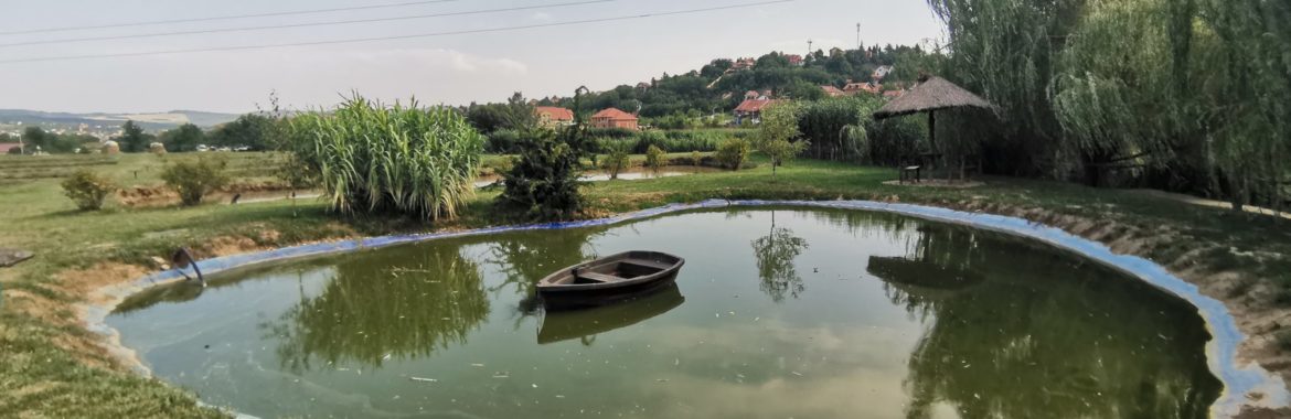 Mali Dunav – Šta obići u blizini Beograda